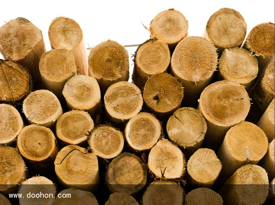 研究人員開發(fā)了一種木質(zhì)素基聚氨酯，適用于粘合劑和涂料領(lǐng)域（一篇讀懂）