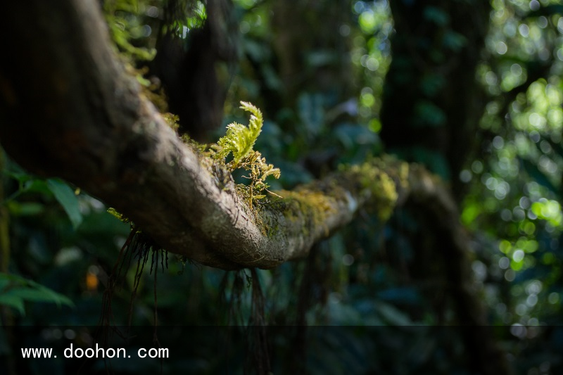 Stahl公司兩家工廠獲得了ISCC PLUS重新認證，在其聚氨酯制品組合擴大可再生原料的使用（沒想到