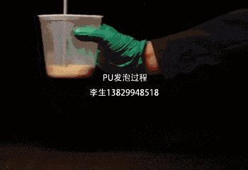 聚氨酯PU發泡杯試