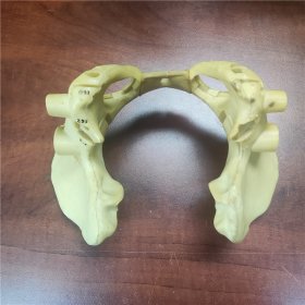 聚氨酯仿真盆骨脊柱骨